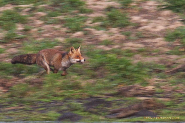 Dietro la foto – “On the run” On the run