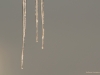 Golden ice