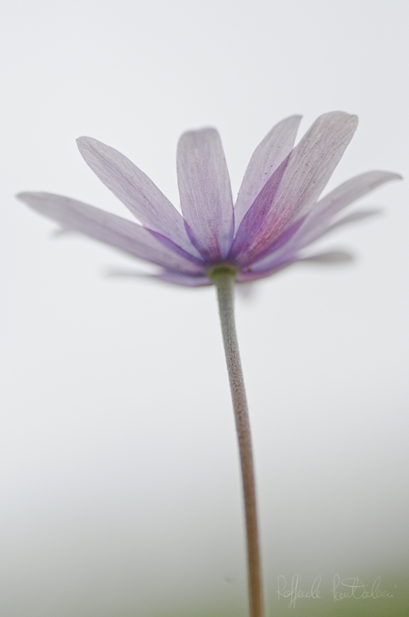 DSC_0357_900