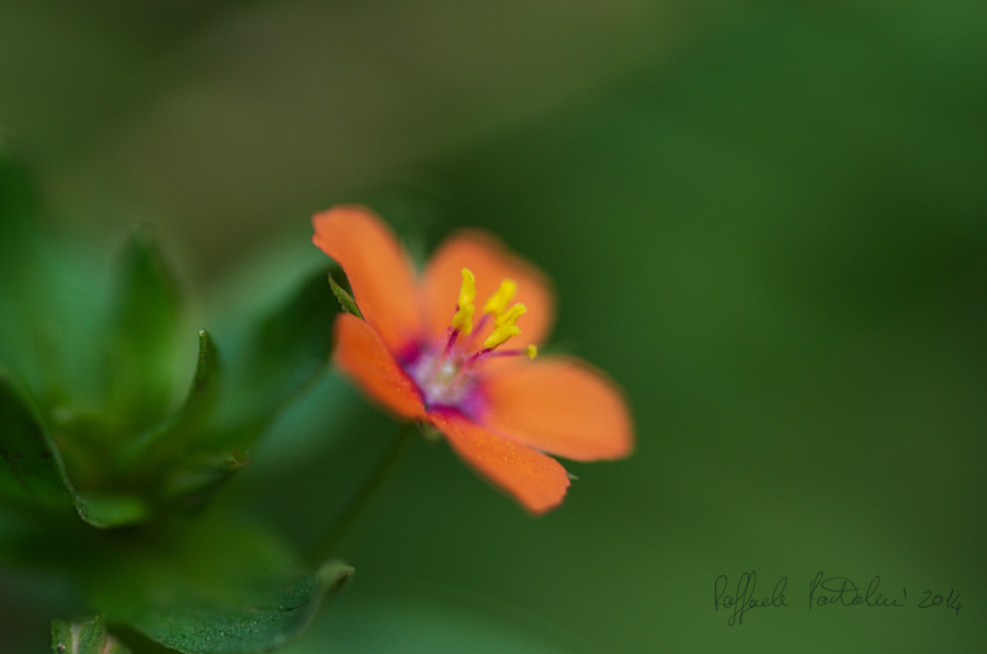 DSC_1657