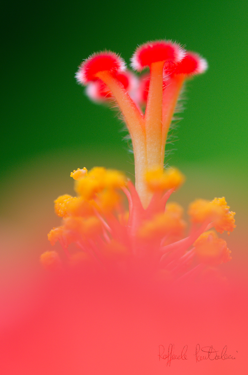 DSC_4814_1200