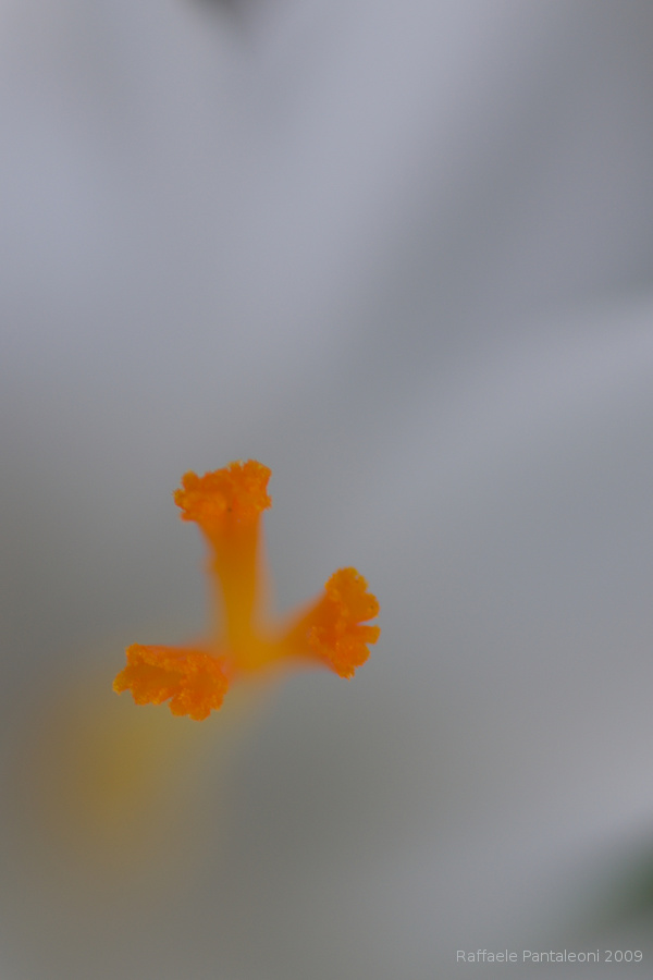 dsc_7777
