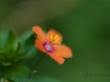 DSC_1657
