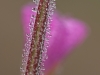 DSC_8713_900