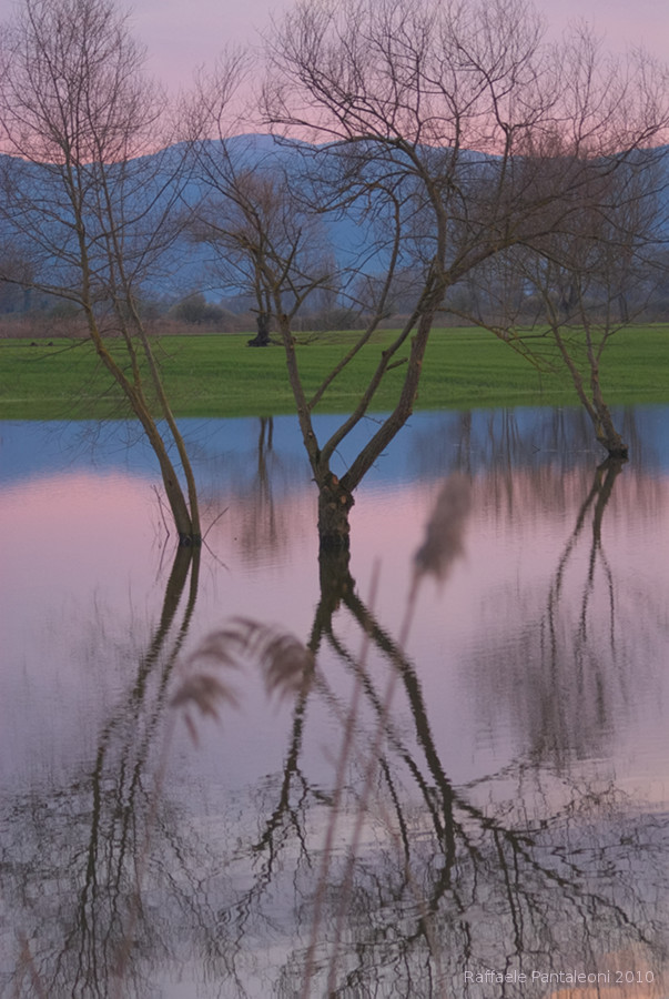 Reflections