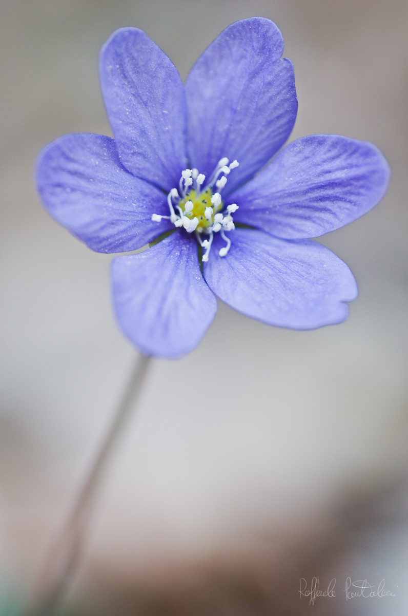 DSC_9798_1200