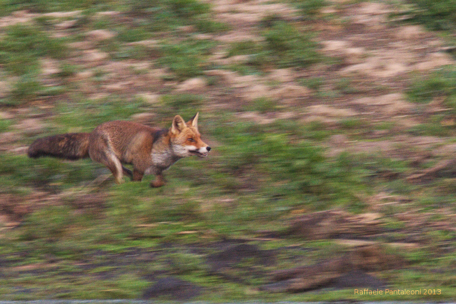 Behind the shot - "On the run"