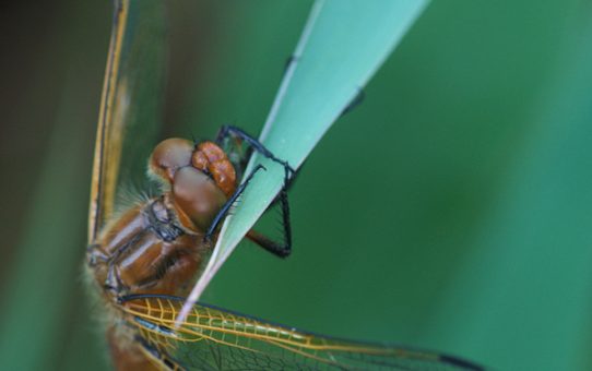 Una mattina di ordinaria follia